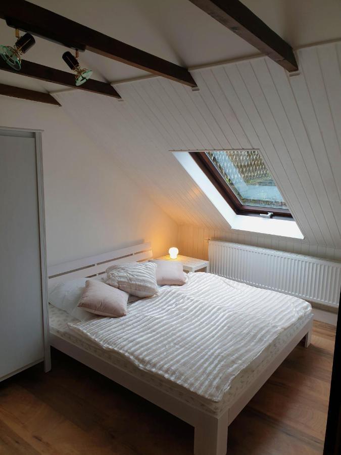 Saechsische-Schweiz-Ferienhaus-Wohnung-1-Mit-Elbblick-Sauna-Und-Kamin Кёнигштайн-ан-дер-Эльбе Экстерьер фото